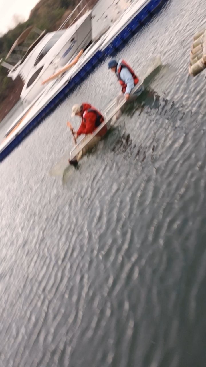 九游体育-摩纳哥训练开放日；赛前篮板制胜引欢呼；欧篮联在即；球探报告显示潜力-九游体育